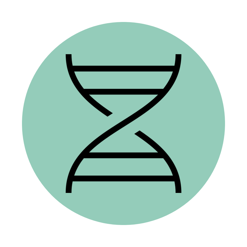 Afbeelding zonder ALT