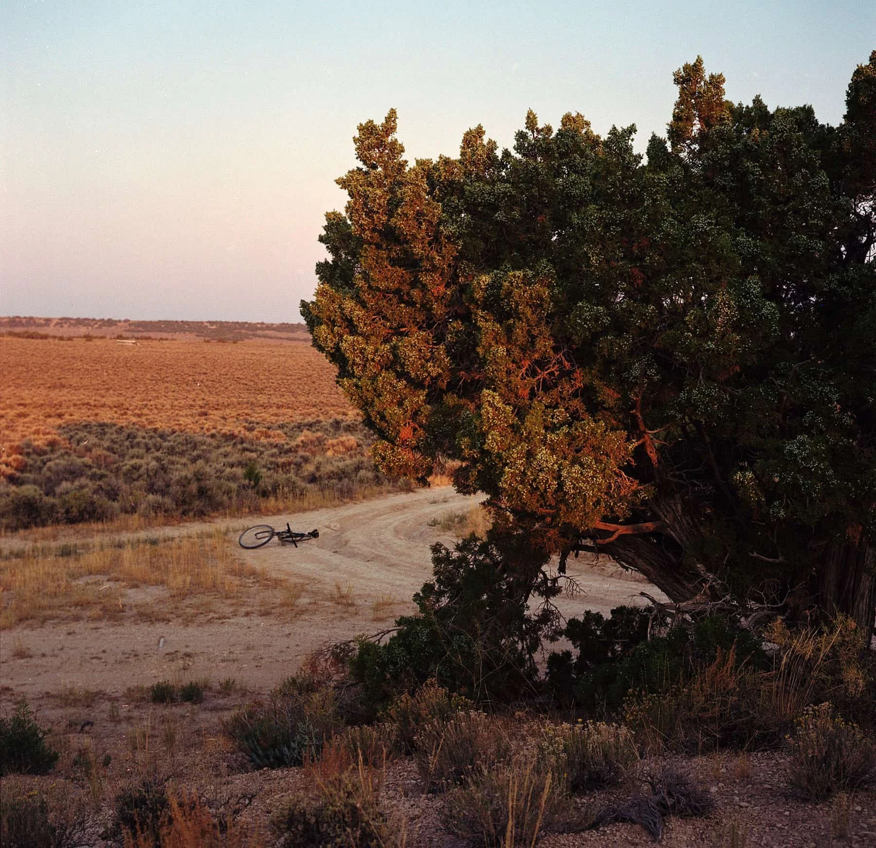 Analog photography Nevada desert artist residency Nicholas Holt.