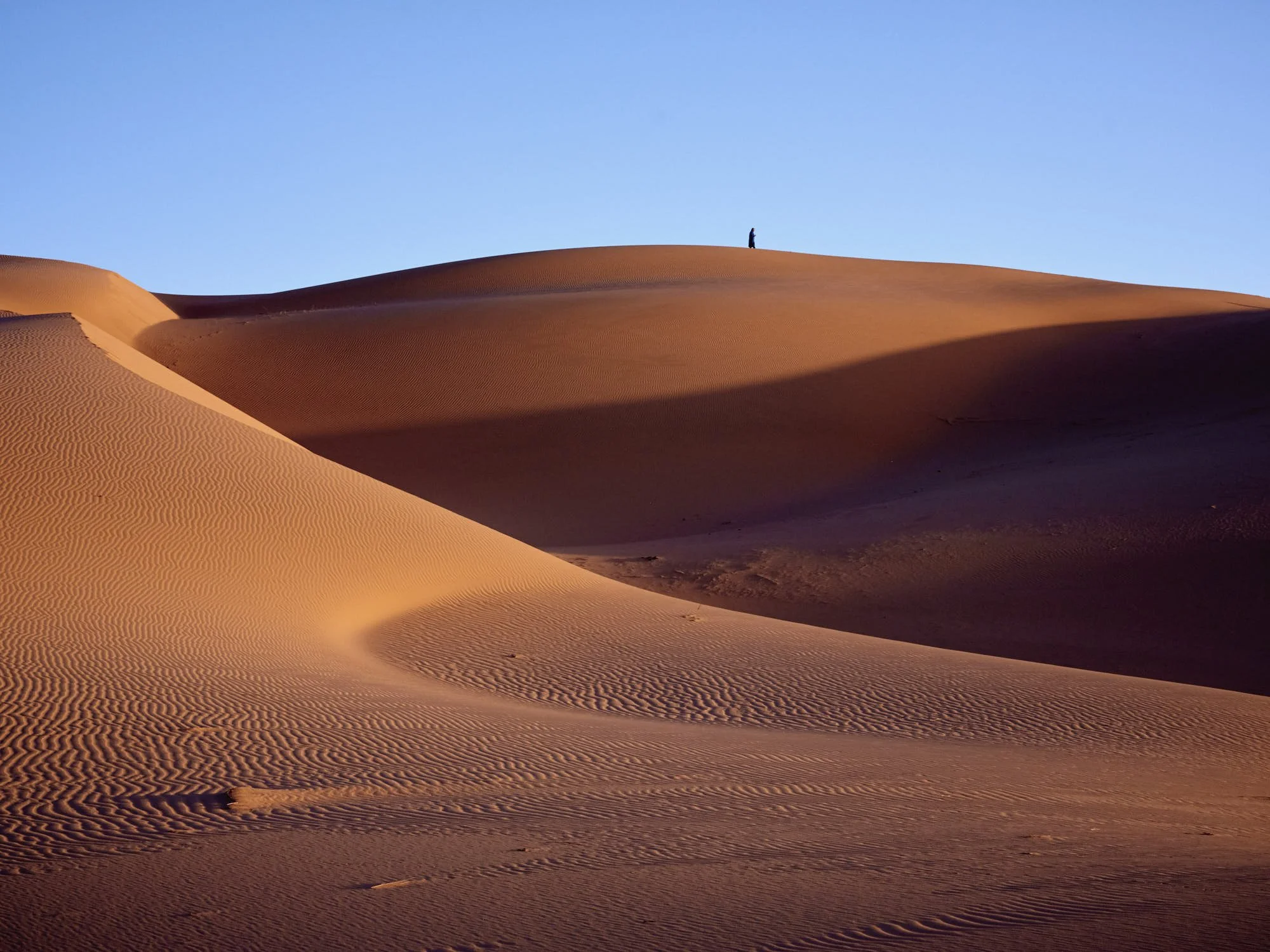 person-dune-sahara.jpg