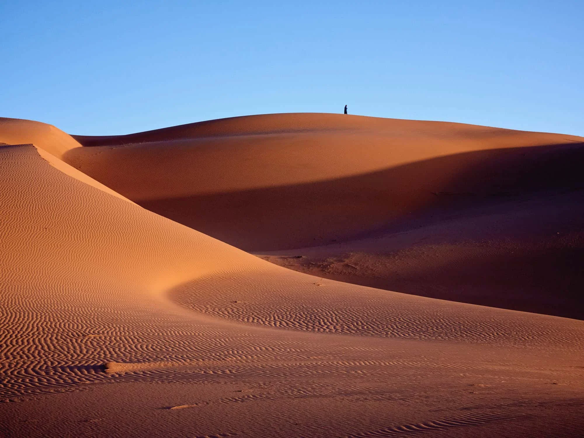 person-dune-sahara.jpg