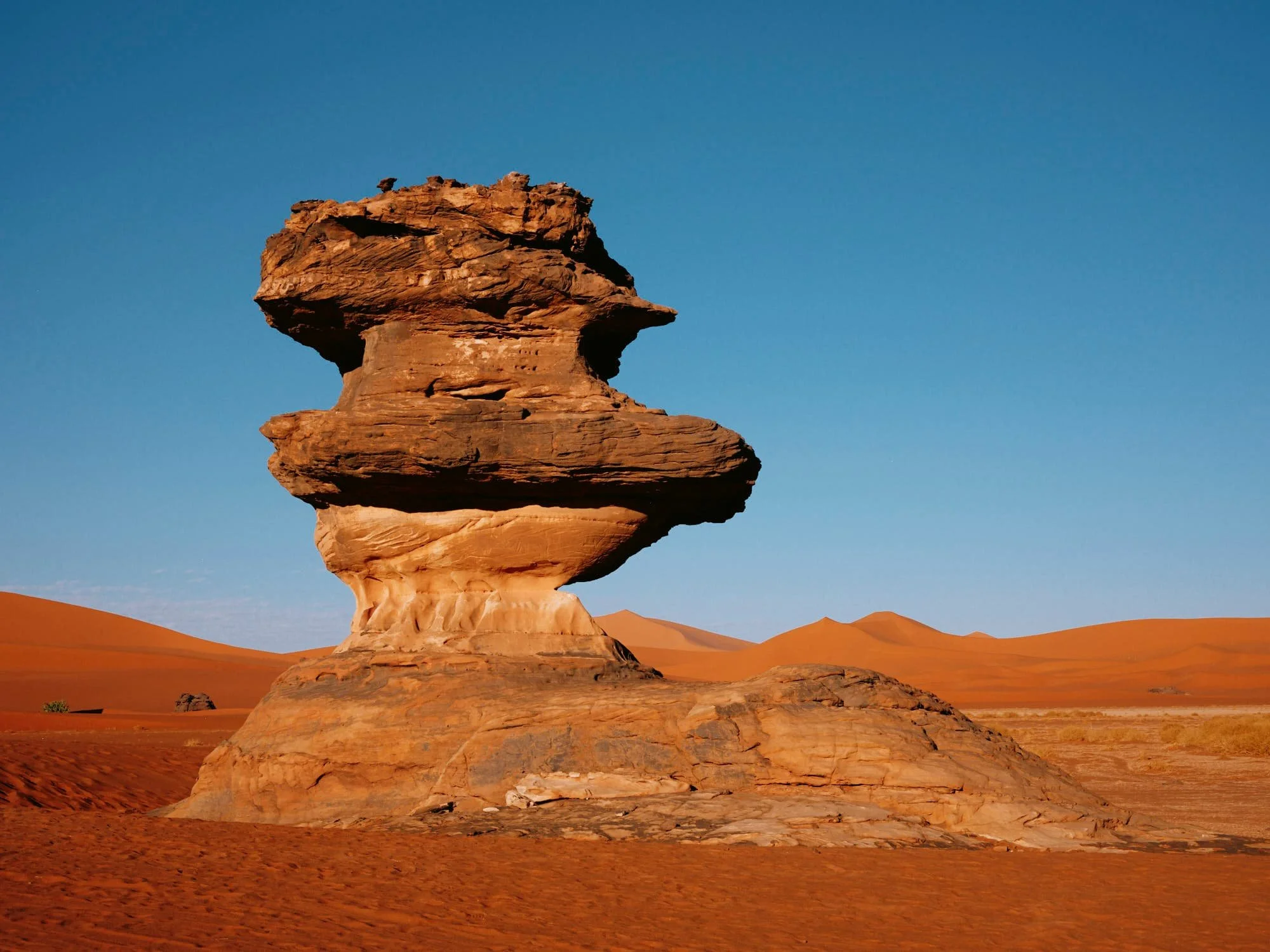 DSCF8305.jpg