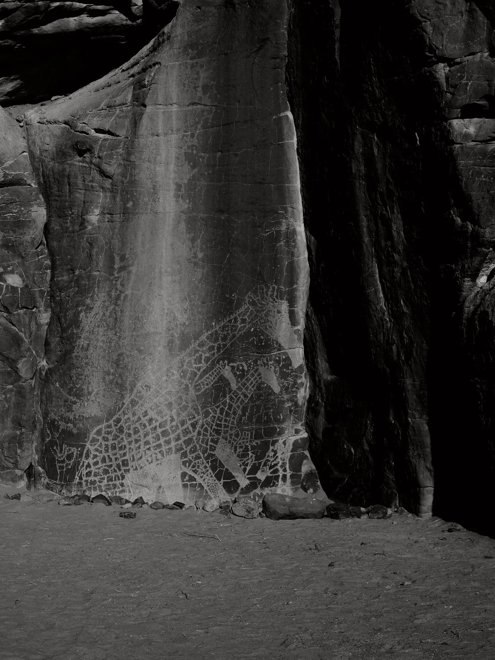 Ghosts of a Green Sahara 