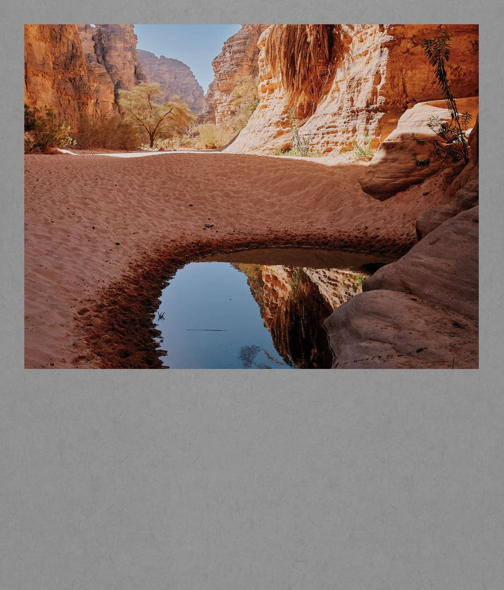 Field Guide: Essendilène Sanctuary by Camel