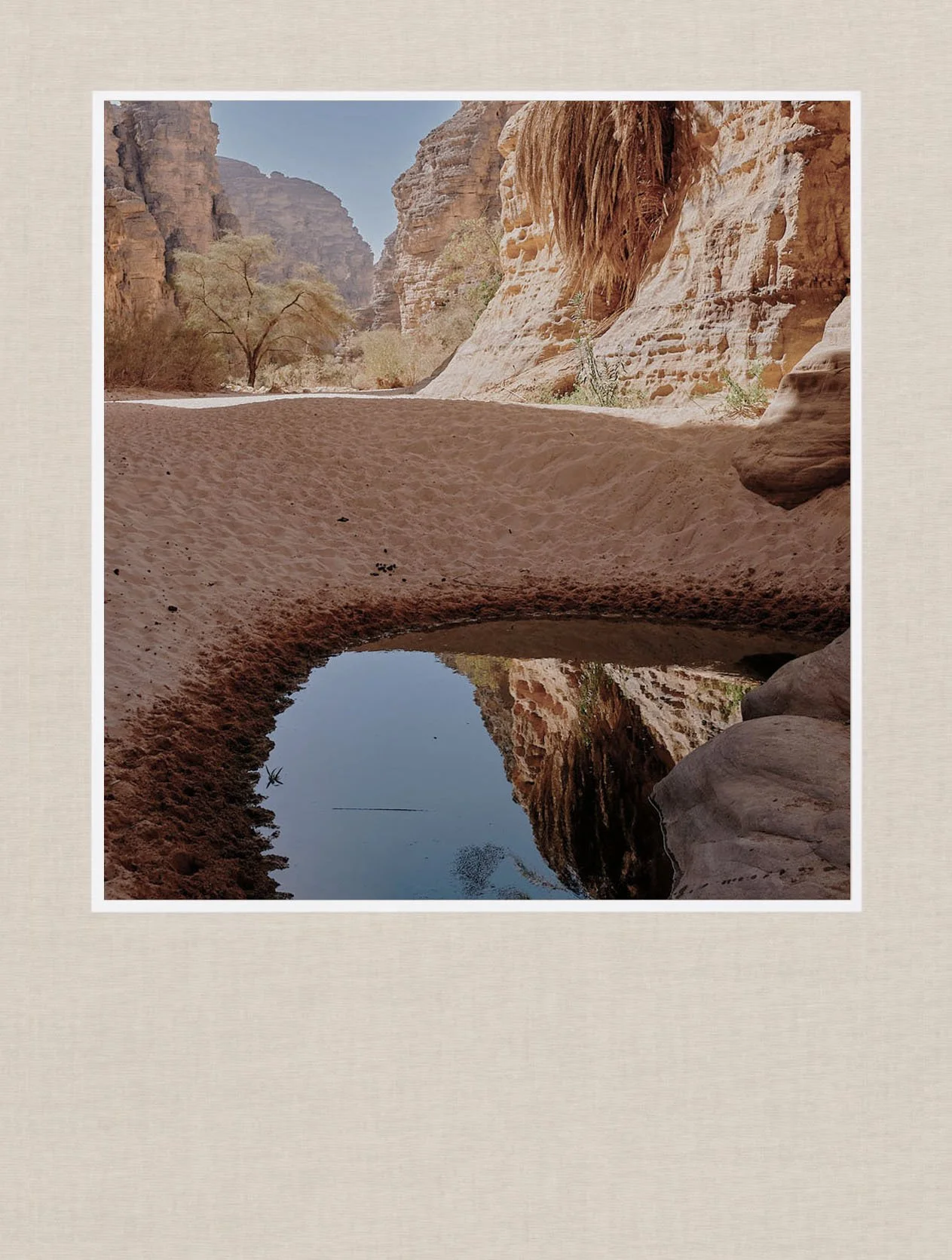 Field Guide: Essendilène Sanctuary by Camel