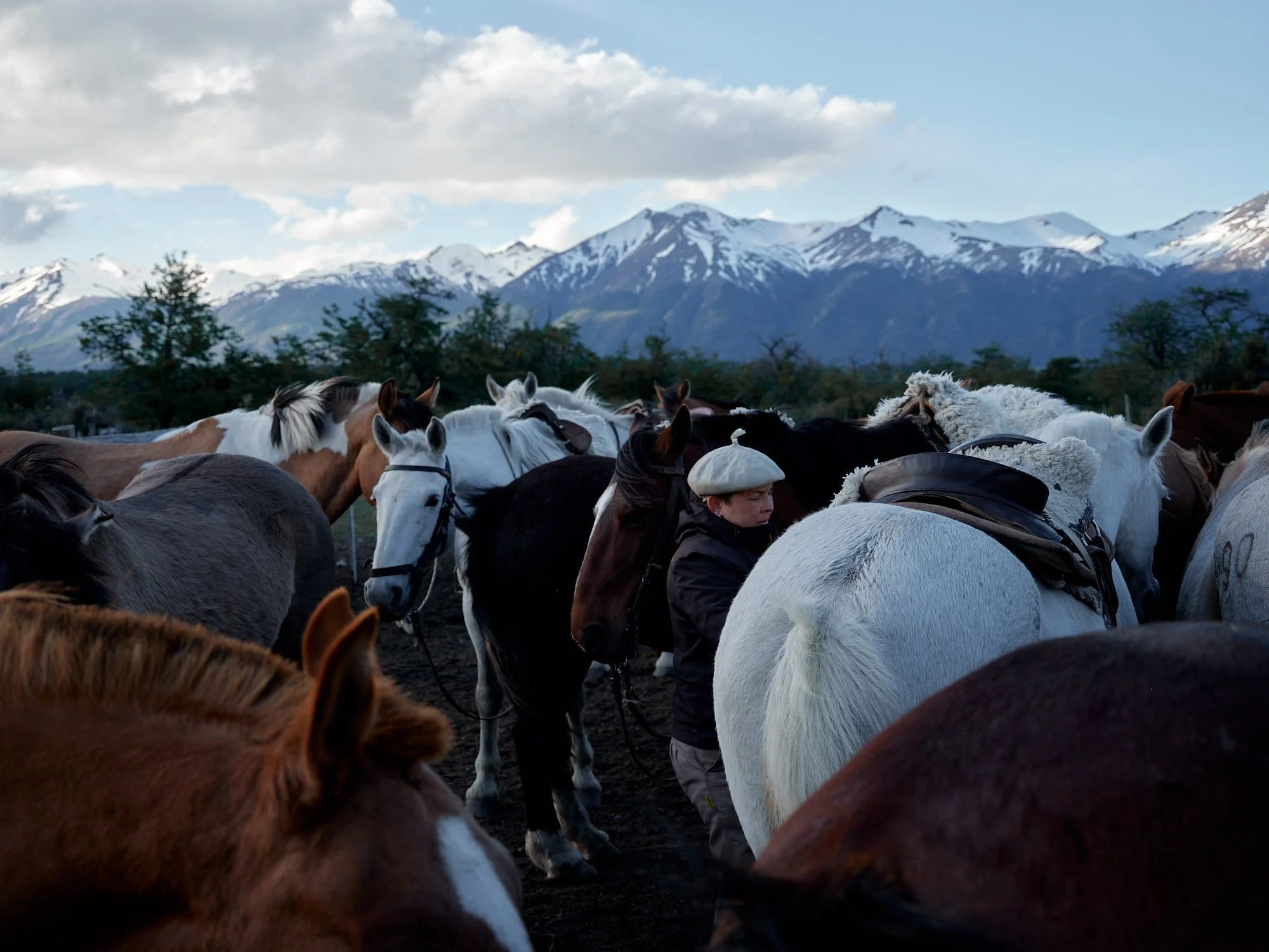 Forty Minutes a Gaucho