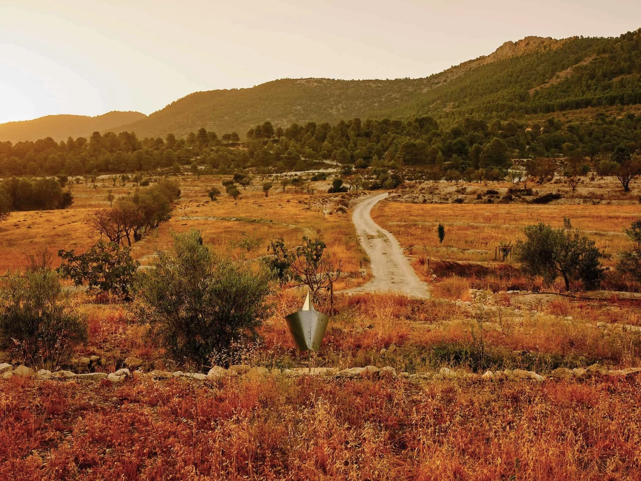 Artist Residencies—the art of staying still