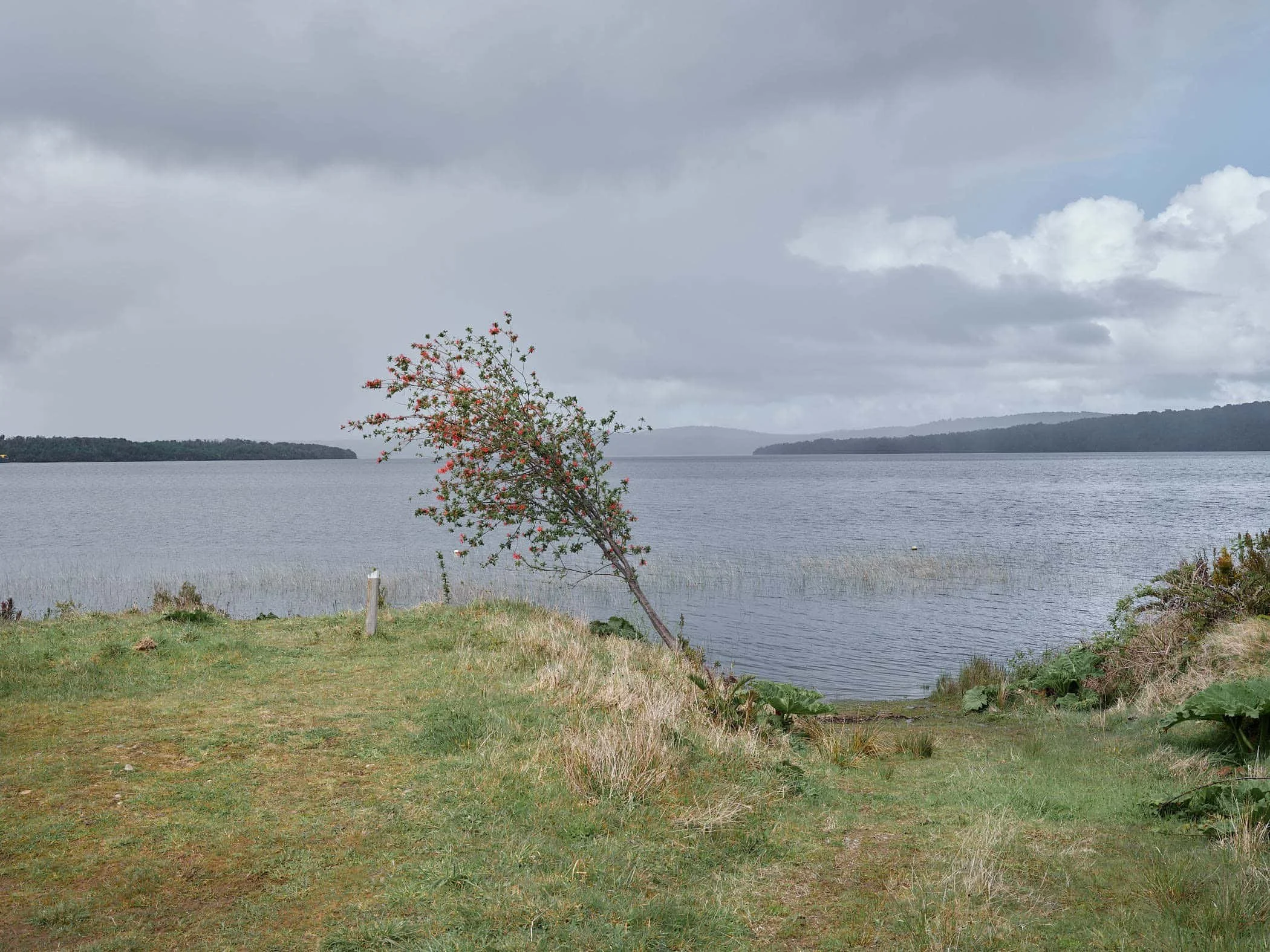 A Region so Lonely: Photographs of Patagonia