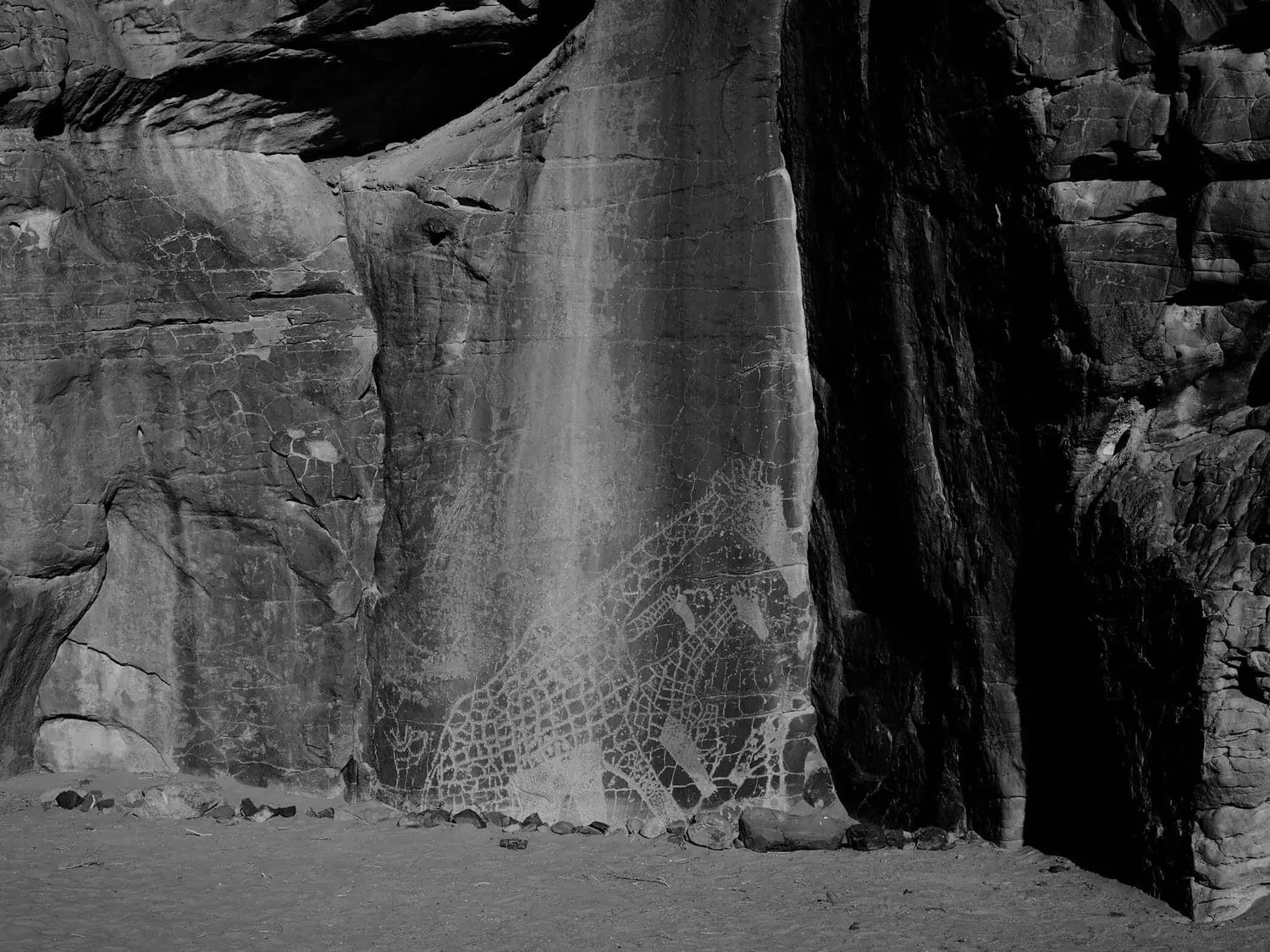 Ghosts of a Green Sahara 