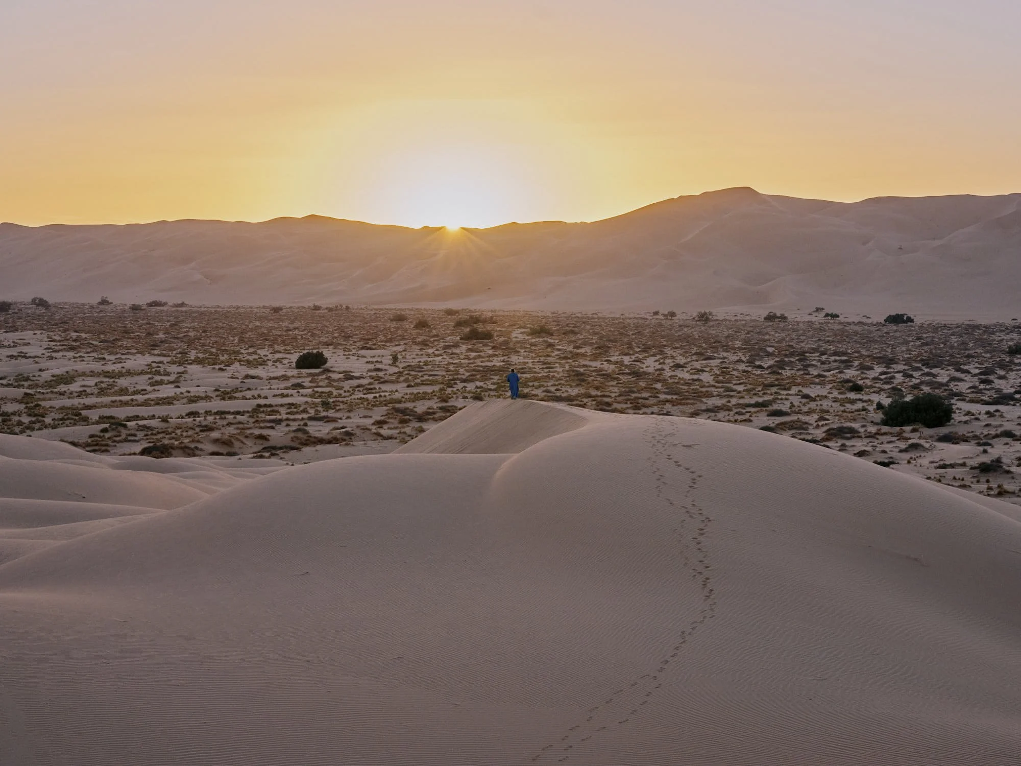 DSCF7025 2.jpg