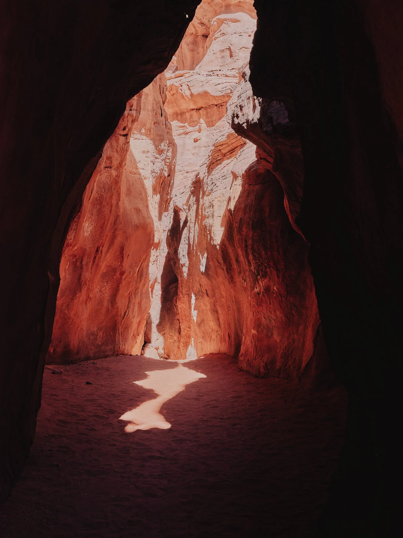 DSCF8613 1.jpg