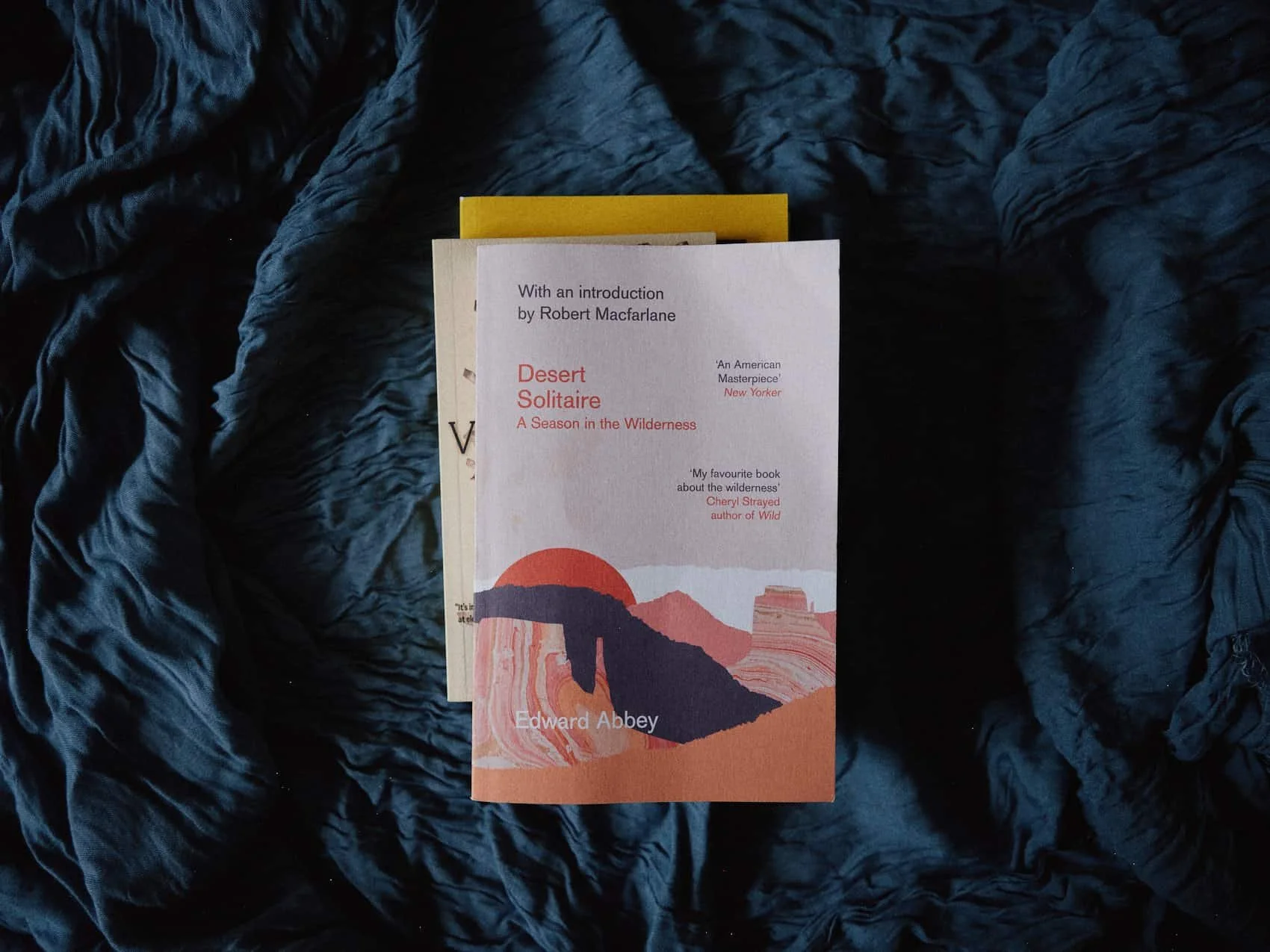 Reading the American Desert