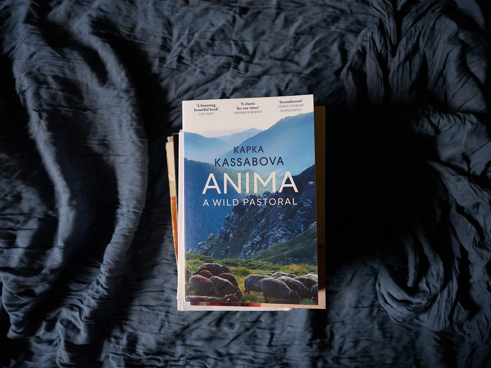 Ten 'Travel-Adjacent' Books That Changed My Perspective
