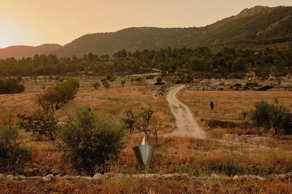 Guide to Artist Residencies