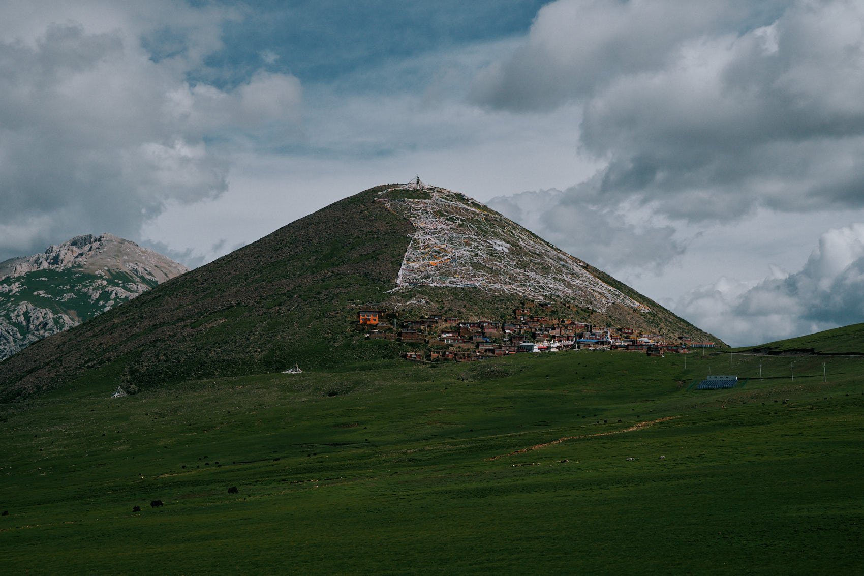 DSC_7680.jpg