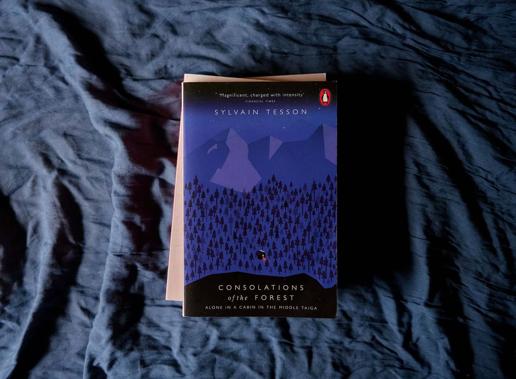 Reading: Alone in a Cabin