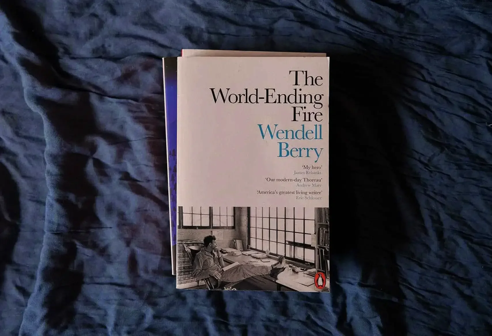 Reading: The Analogue