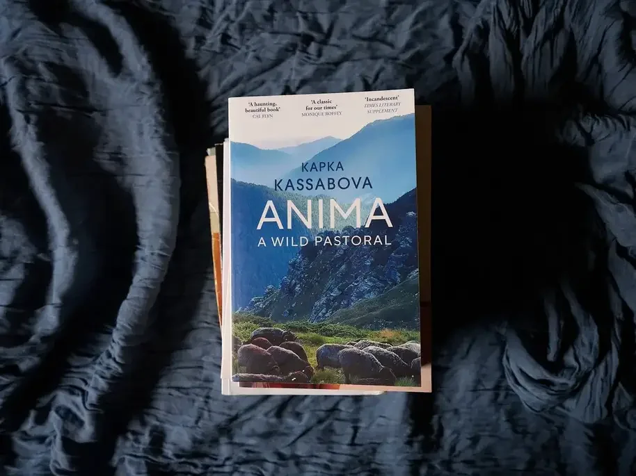Ten 'Travel-Adjacent' Books That Changed My Perspective