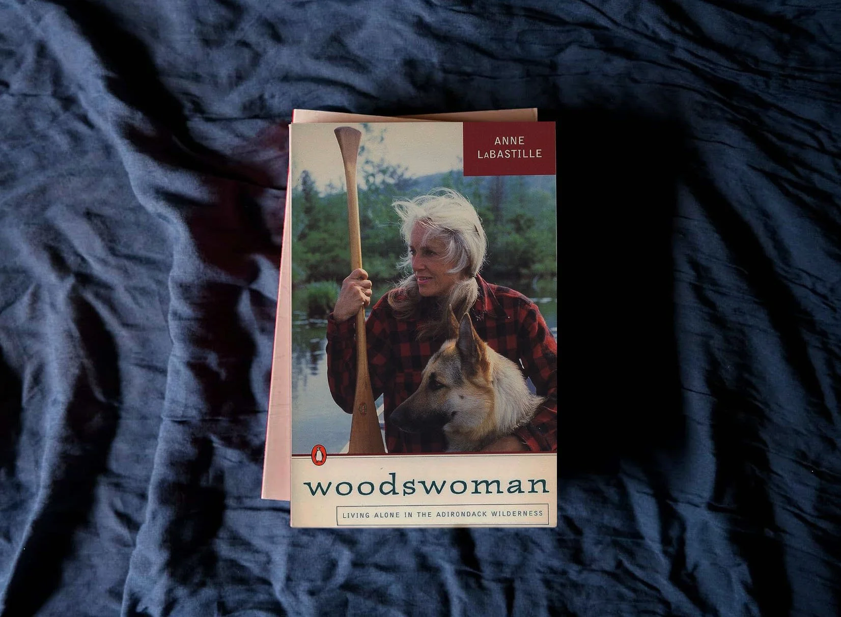 Reading: Alone in a Cabin