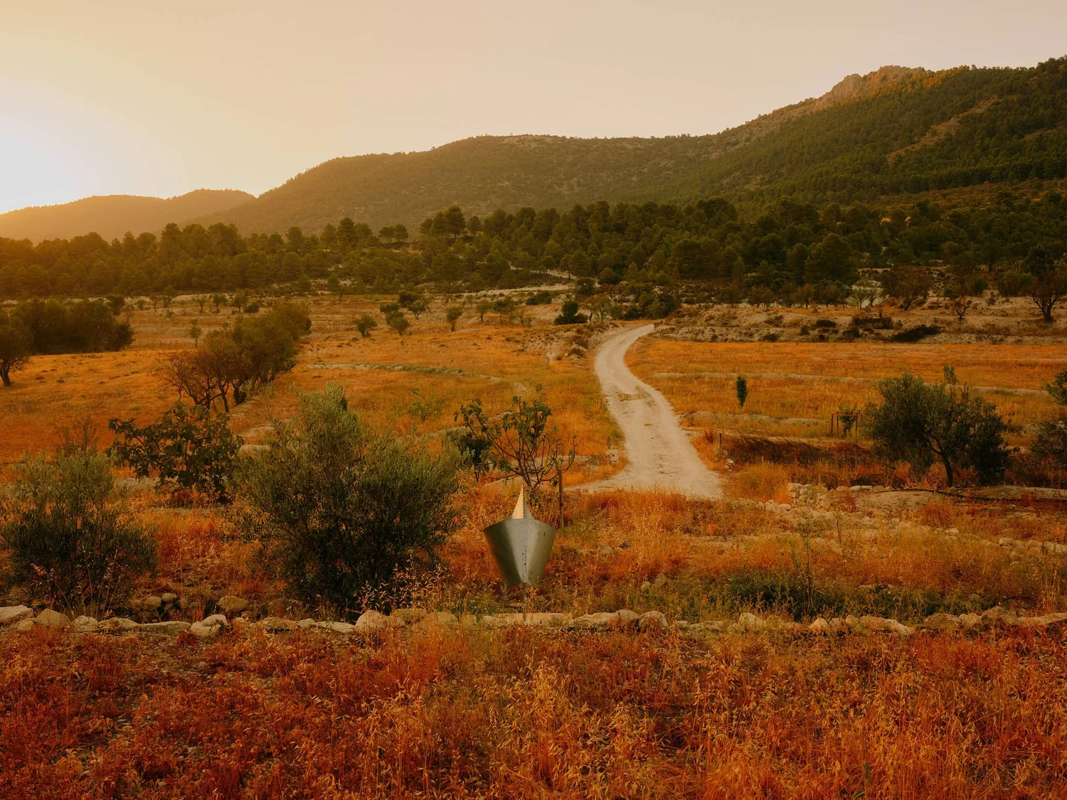 How to Travel as an Artist