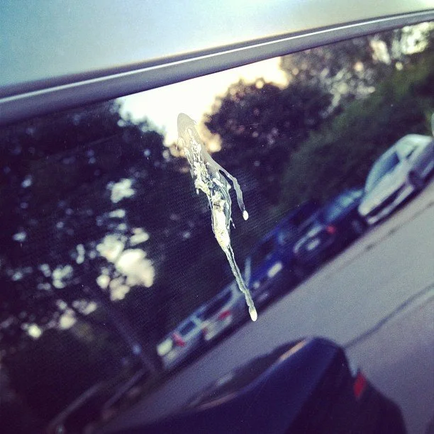 Har precis tvättat bilen. Vad händer! Fågelskit!!!