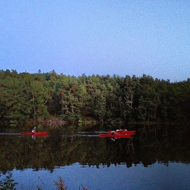 Inte ensam. Ljudlösa sjöglidare.