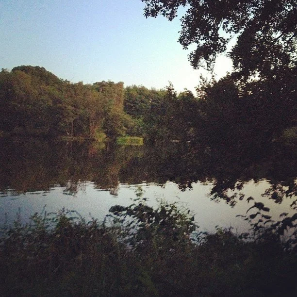 Kvällspromenad bland myggen