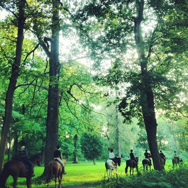 Har precis parkerat bilen. Då kör några andra "fordon" förbi.