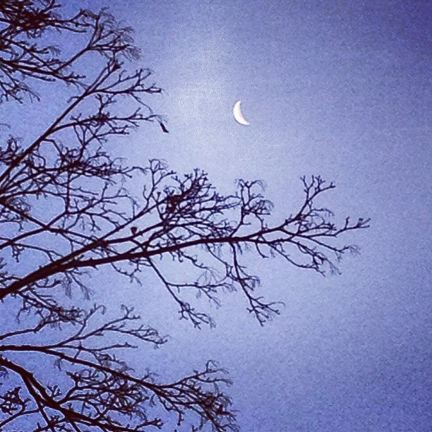 Godmorgon! Let's moon!