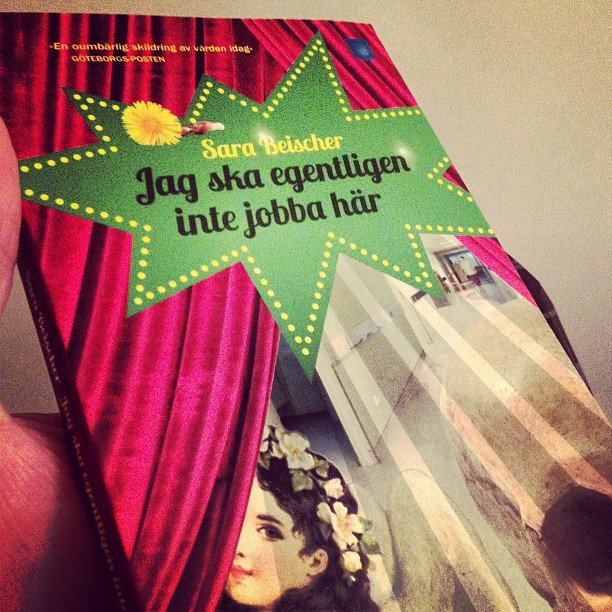 Fick den här boken som julklapp från jobbet. Vill de säga nåt?