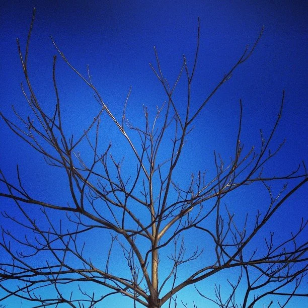 Åh du efterlängtade himmel!