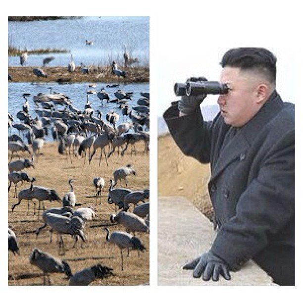 Man vet att våren är här när fågelskådarna flockas kring Hornborgarsjön. Intresset är stort och lockar en del långväga gäster!