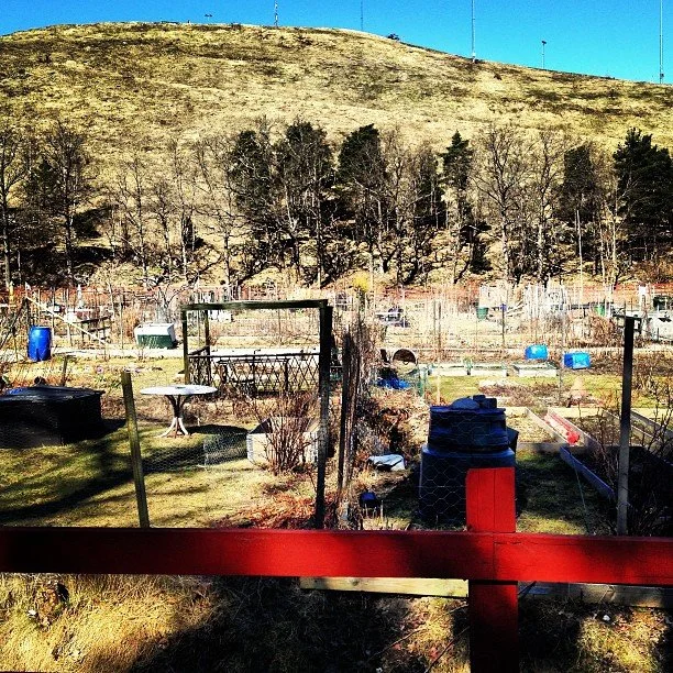 Älskar alla olika miljöer i mitt närområde.