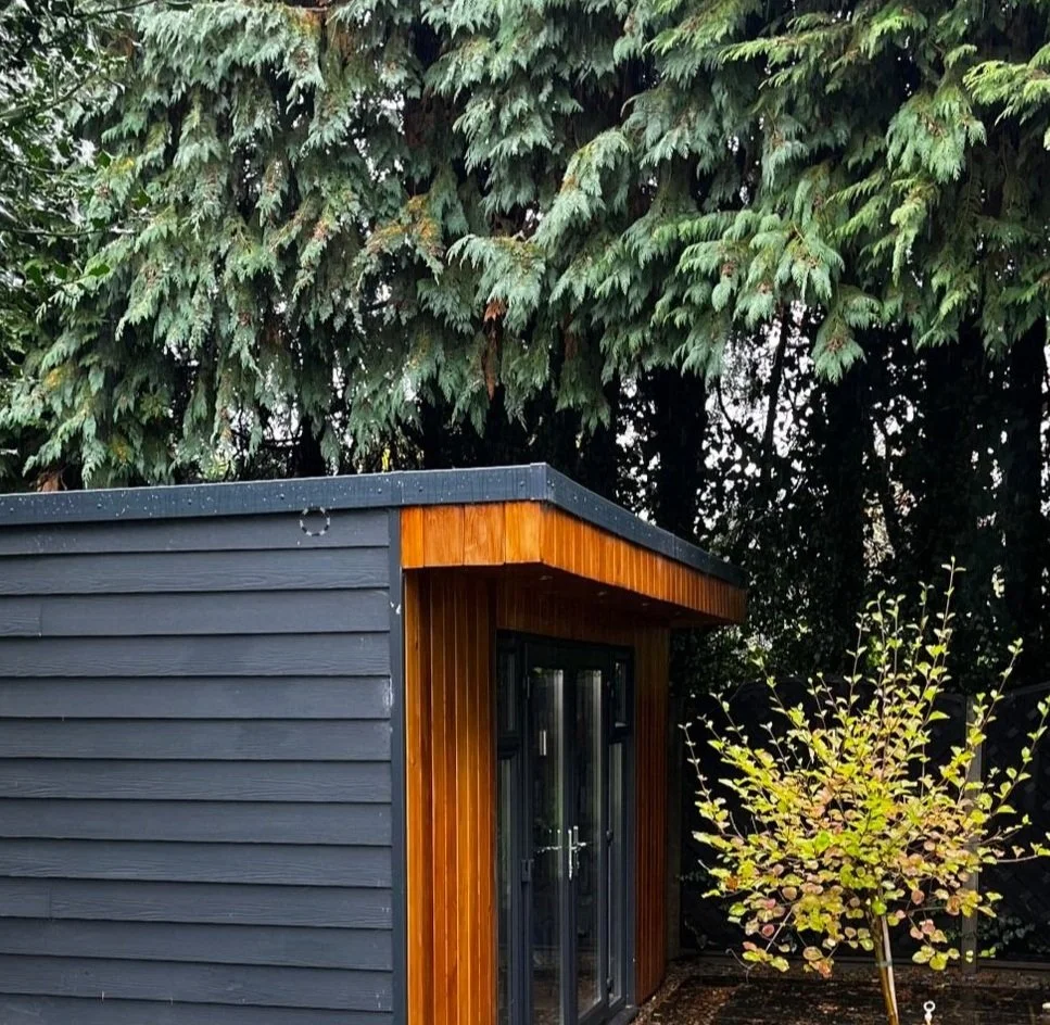 Modern garden shed with dark wood siding and large glass doors, surrounded by tall evergreen trees and a small bush, in a lush garden setting.