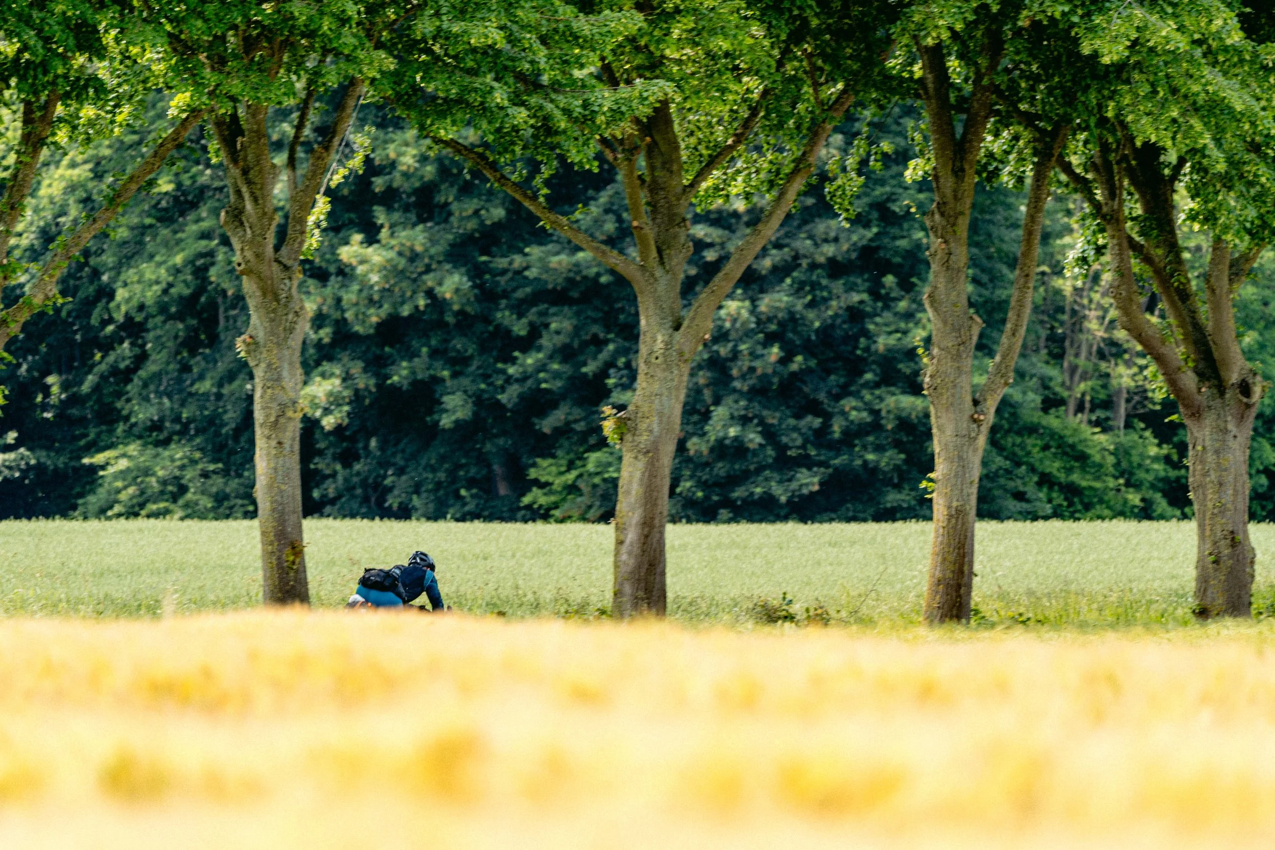 JKF06884_jasperkorthfotografie.jpg
