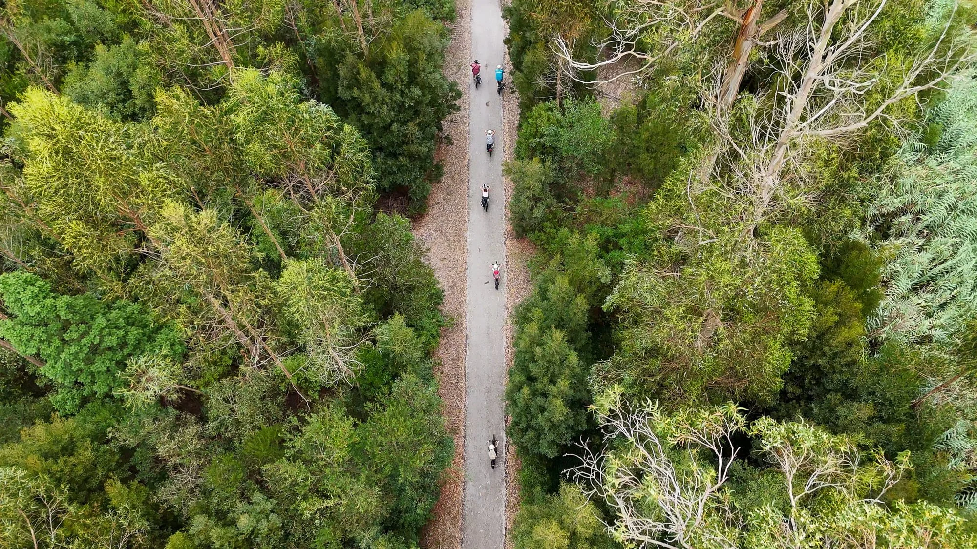 Drone-8.jpg