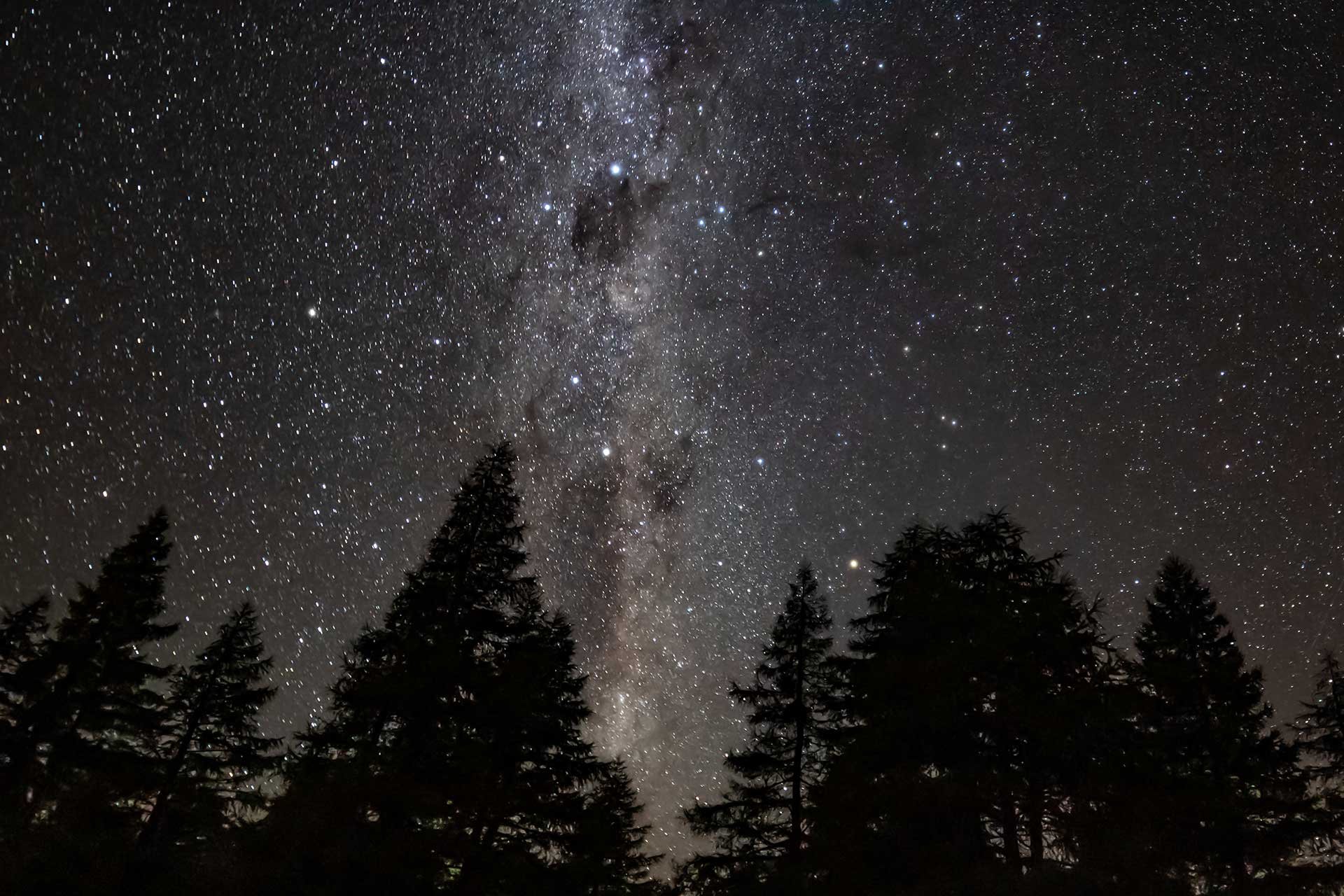 StarlightCOMPRESSED.jpg