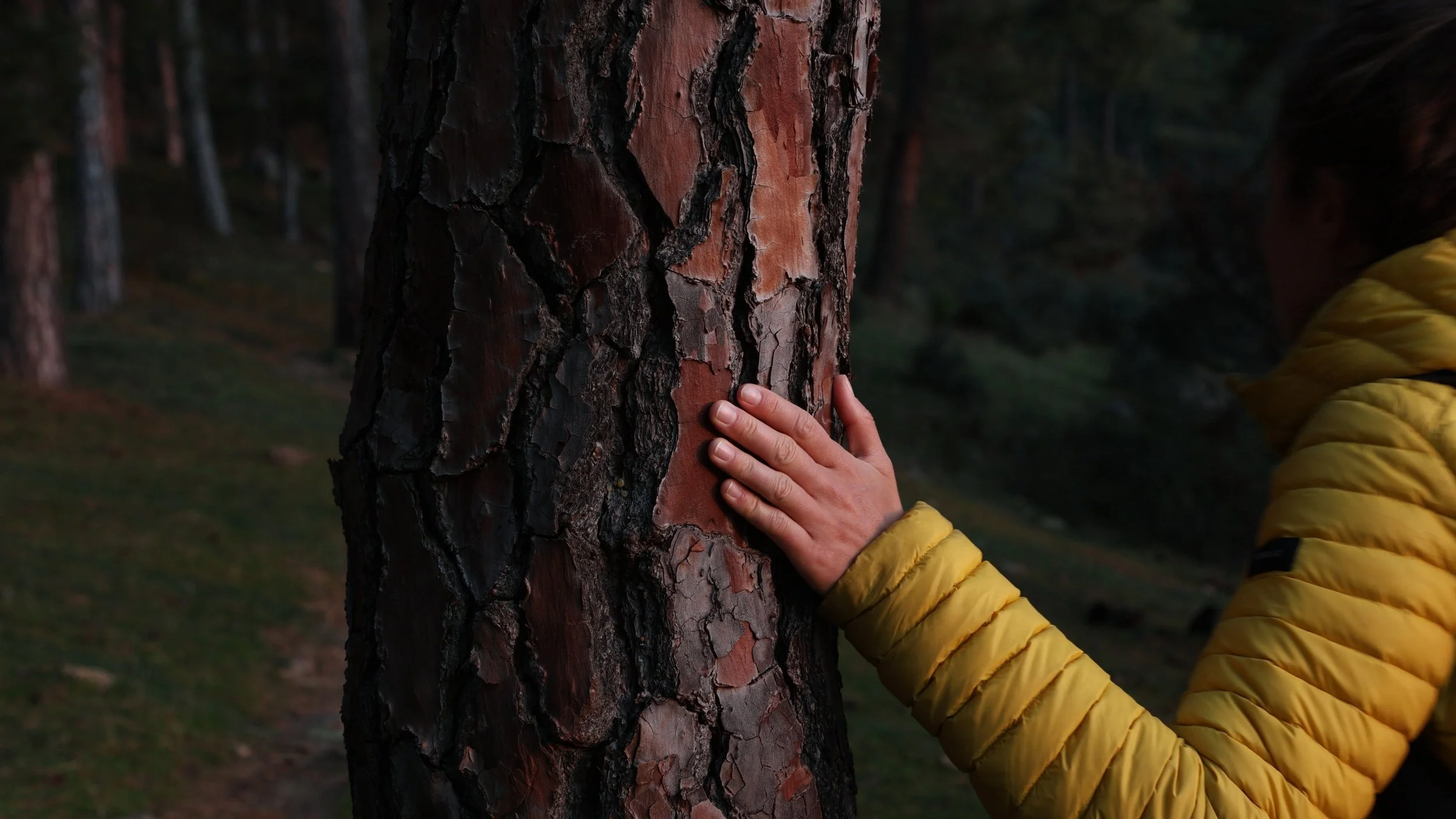 Sunrise Hike Story