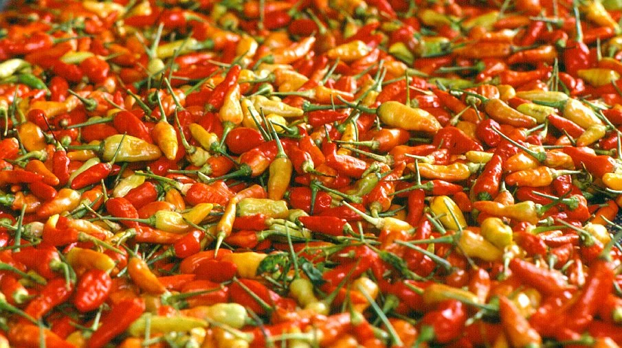 Chilis, Ubud Bali 2005