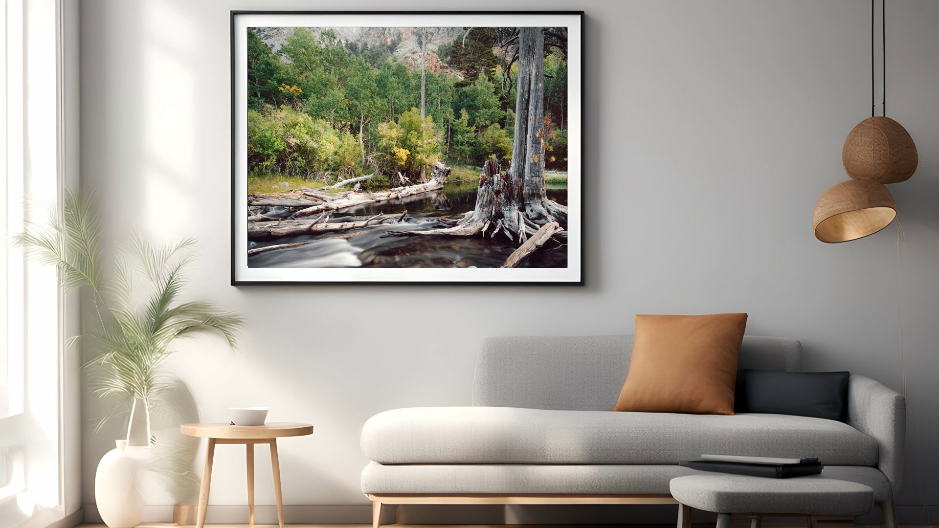 June Lake Creek Interior.jpeg