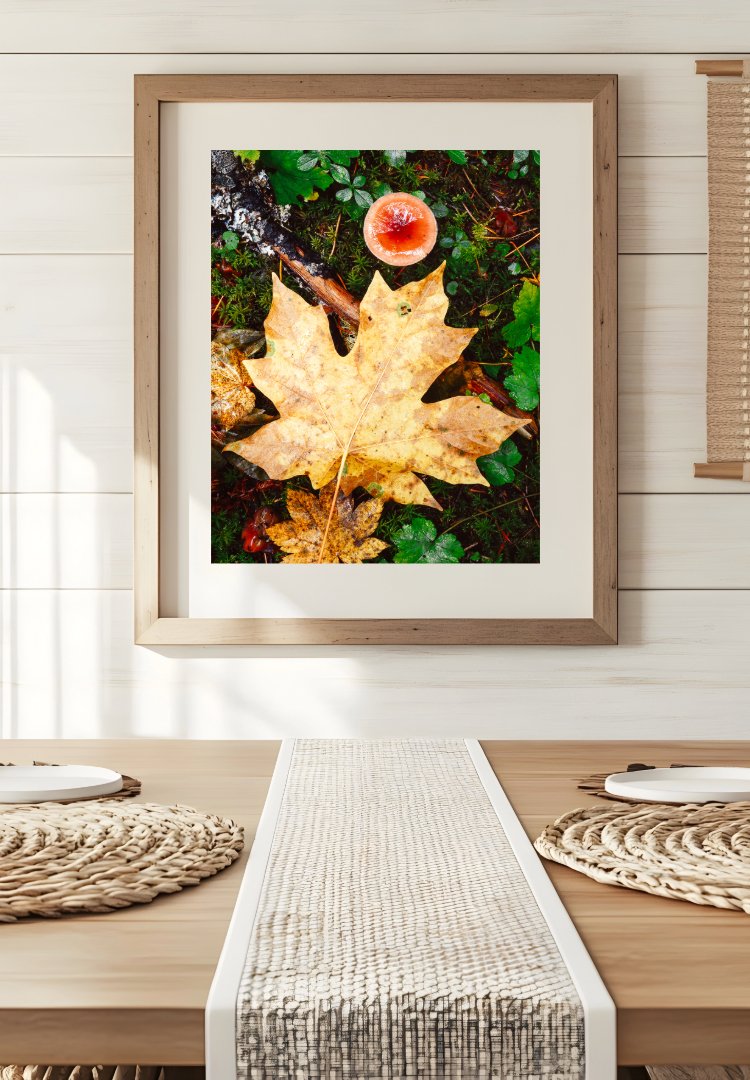 Oregon leaf interior.jpeg