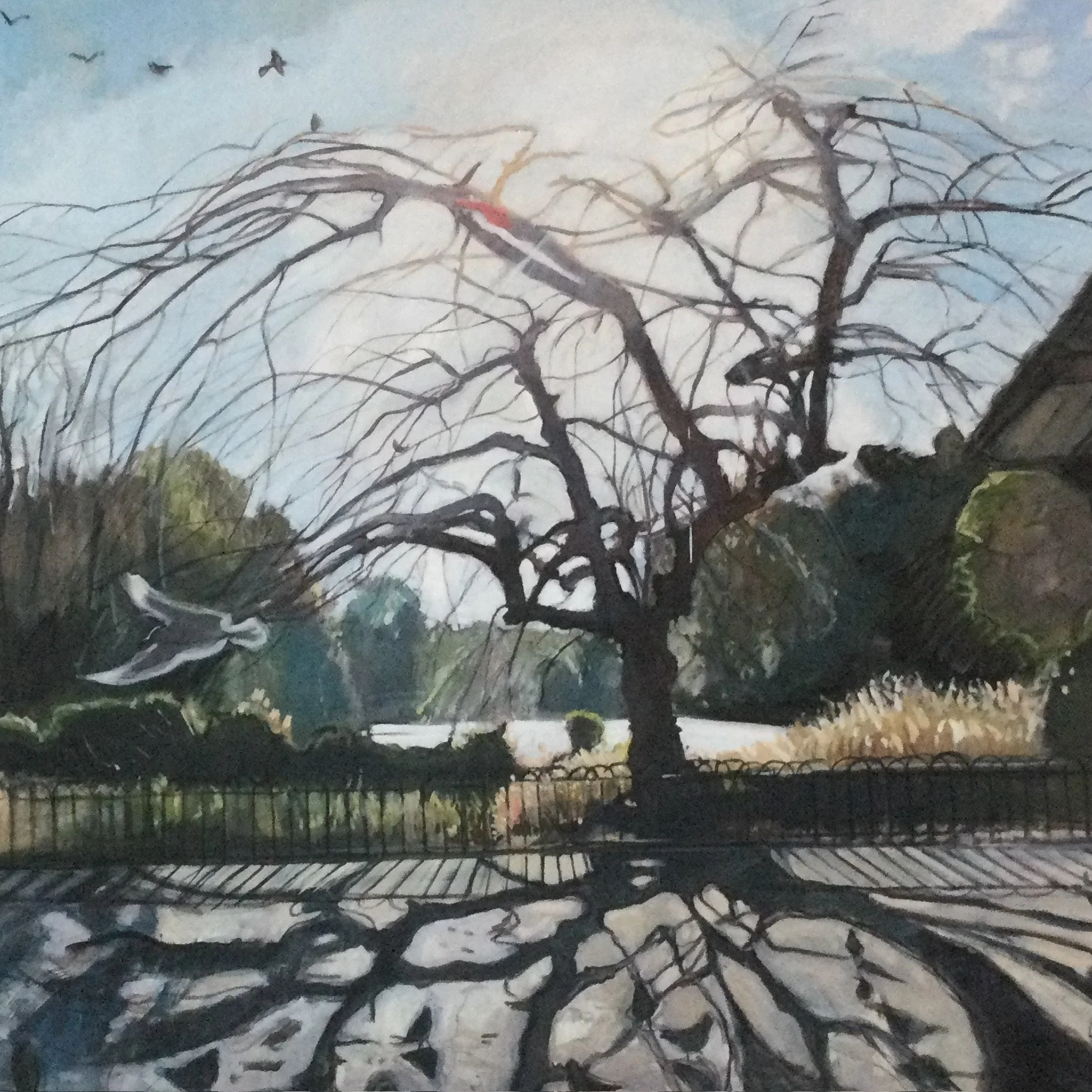 Dulwich Winter Pond oil on canvas 100 x 100cm £800