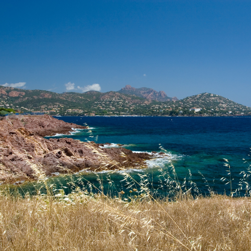 Untitled design-5.png