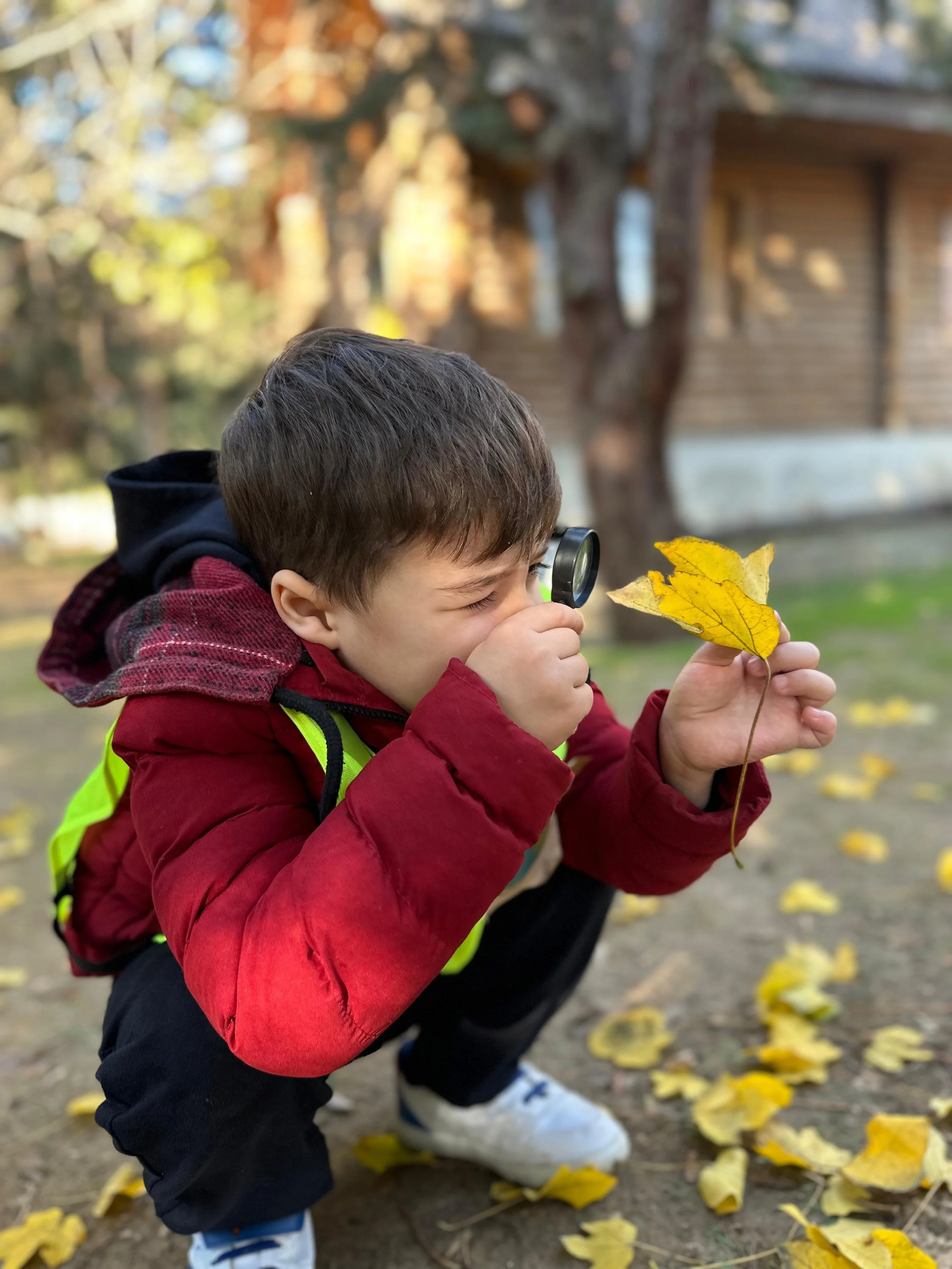 Çocuk, sarı yapraklara odaklanmış, büyüteç tutarken doğal bir ortamda eğleniyor.