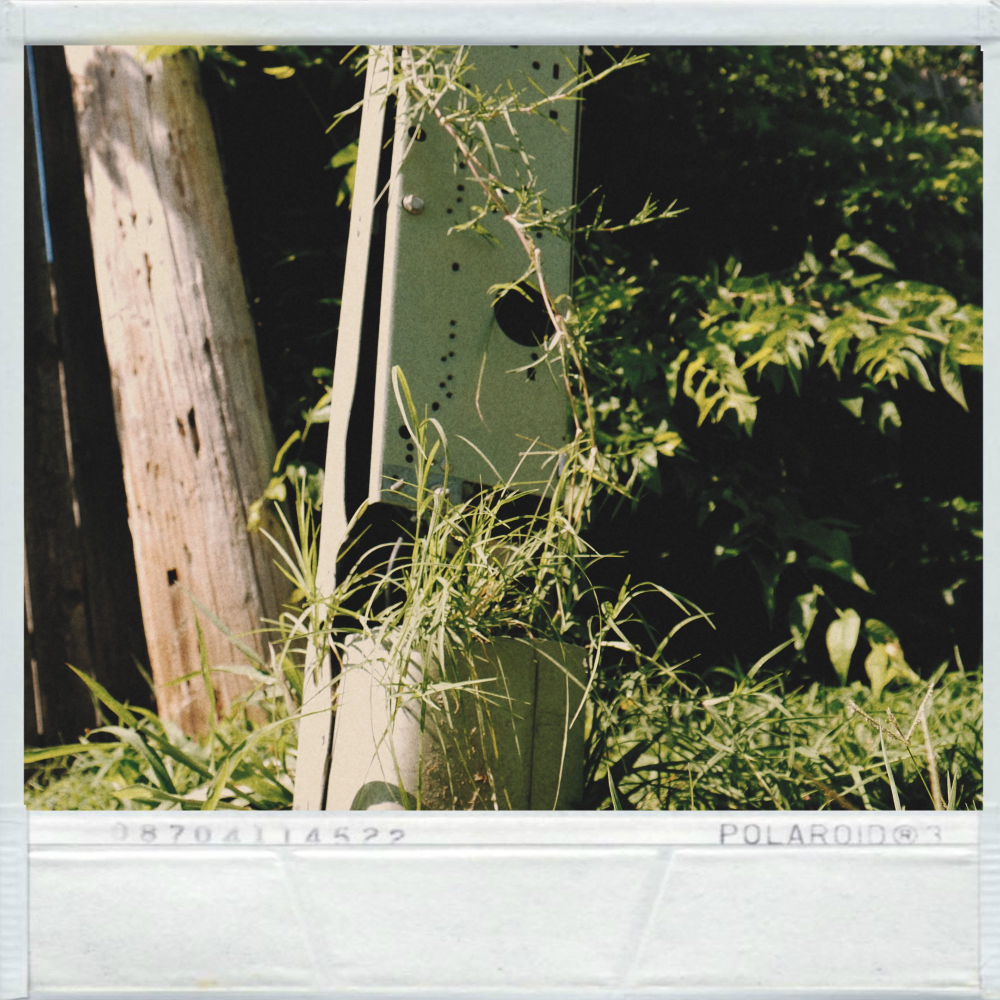 Reclaimed Land_00003.JPG