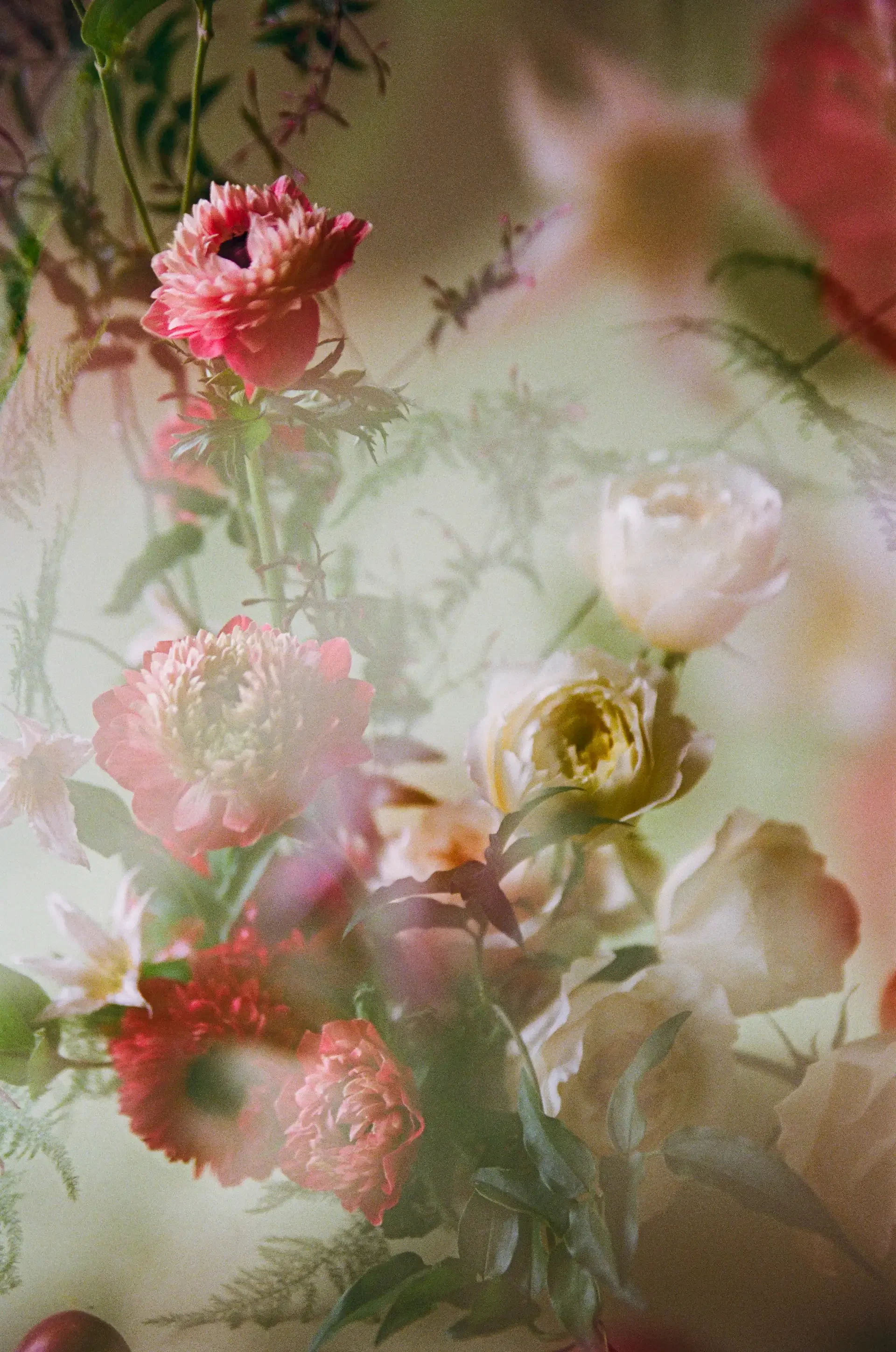 storyfloral-33.webp