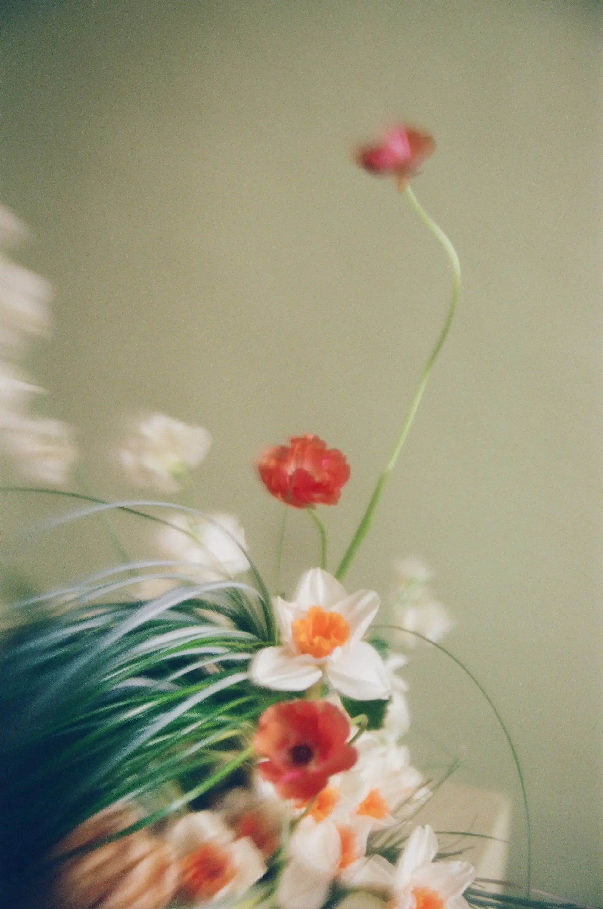 storyfloral-10.webp