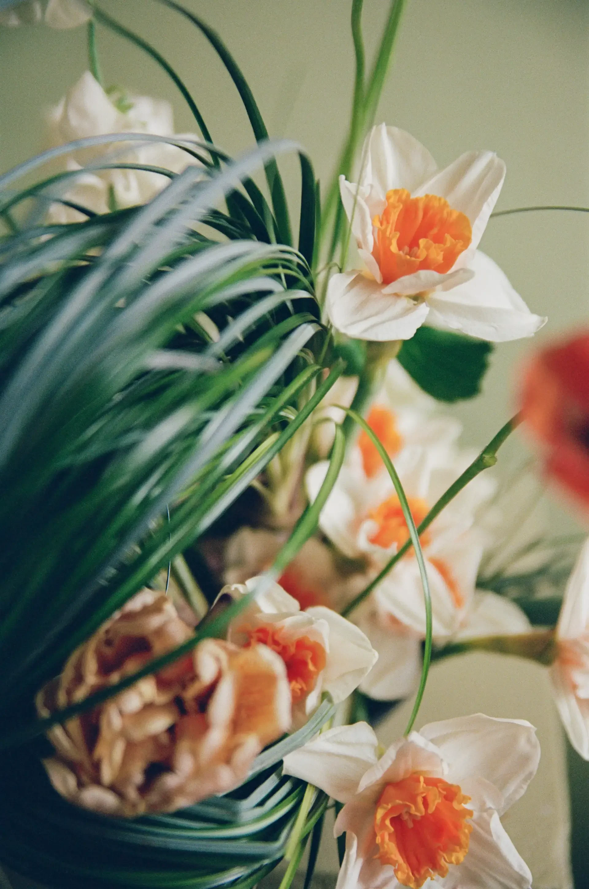 storyfloral-9.webp