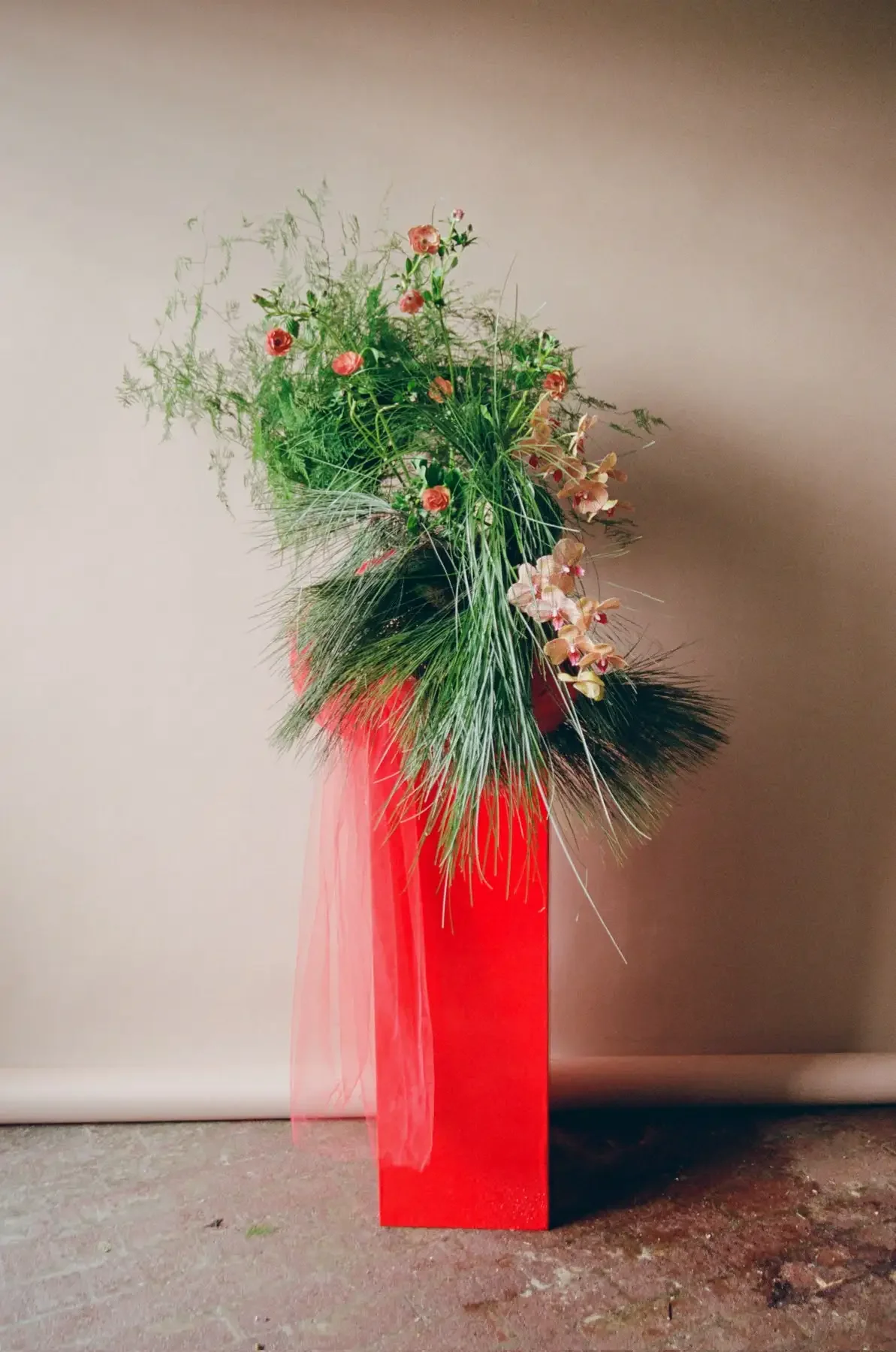 storyfloral-13_Original.webp