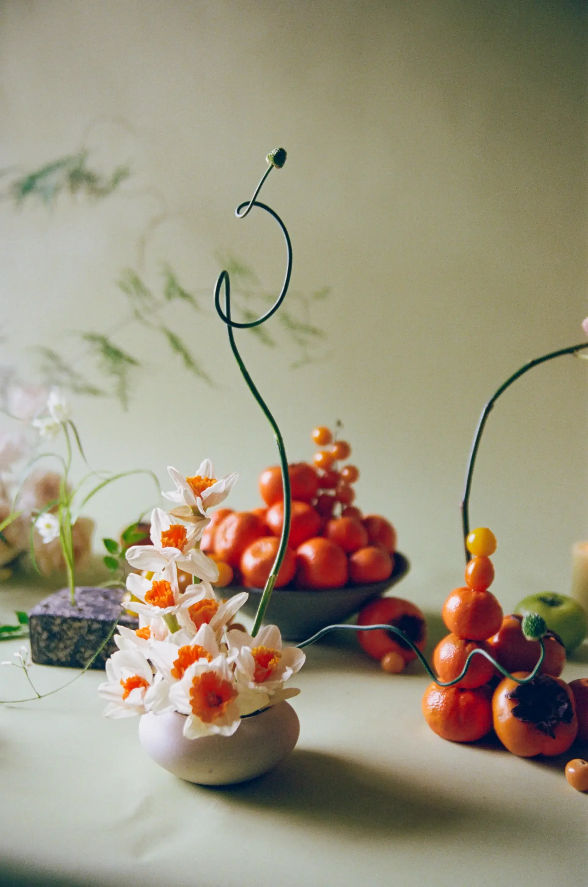 storyfloral-43.webp