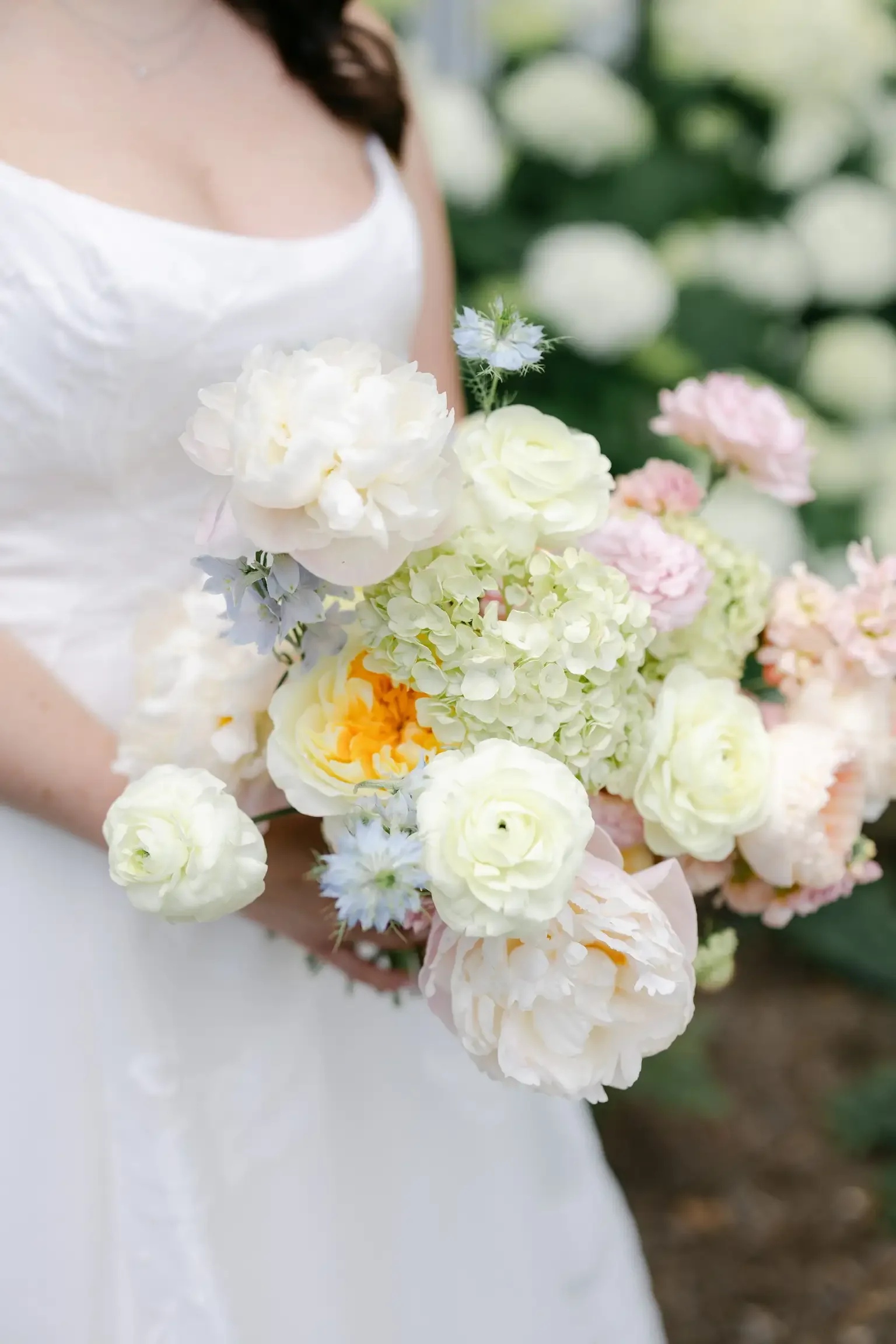 IMG_1924.webp